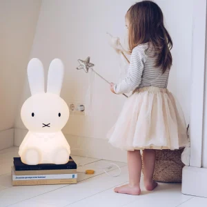 Star Light Miffy and Friends