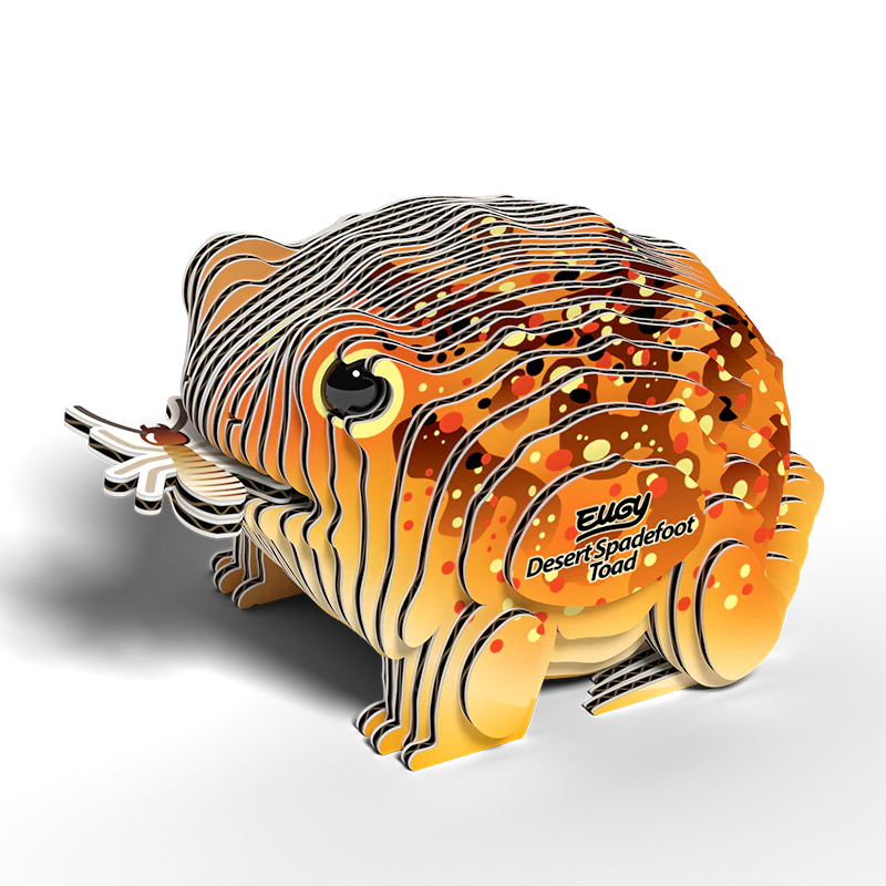 EUGY 3D - Crapaud Du Désert – Image 2
