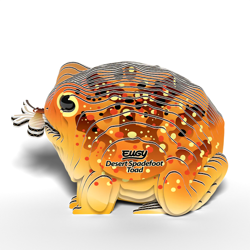 EUGY 3D - Crapaud Du Désert – Image 3