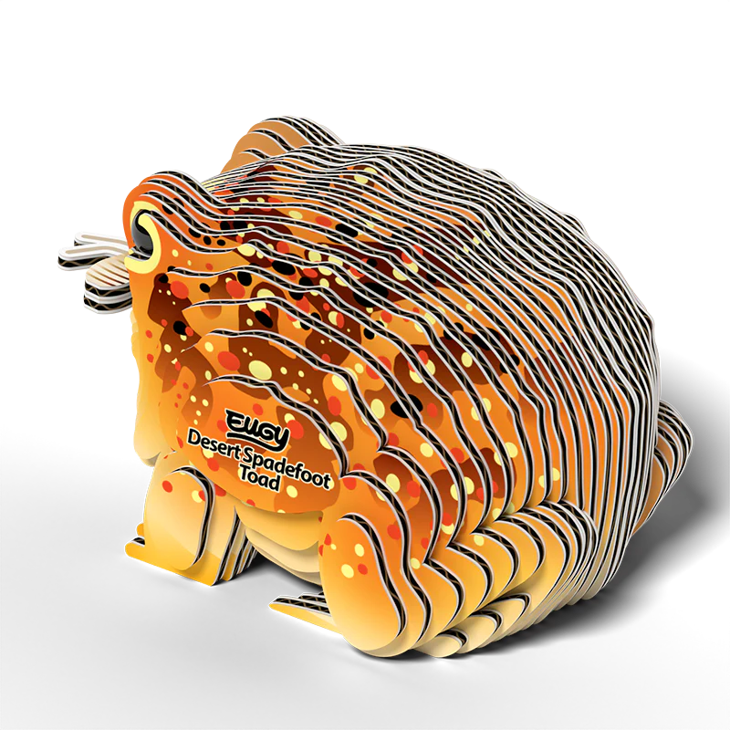 EUGY 3D - Crapaud Du Désert – Image 4