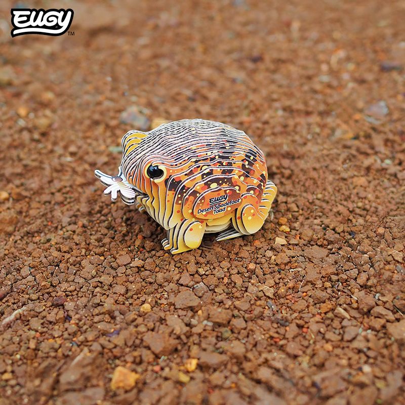 EUGY 3D - Crapaud Du Désert – Image 7