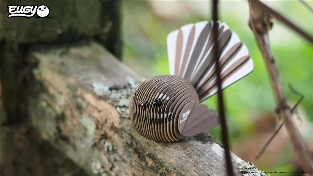 EUGY 3D - Rhipidure à collier – Image 5