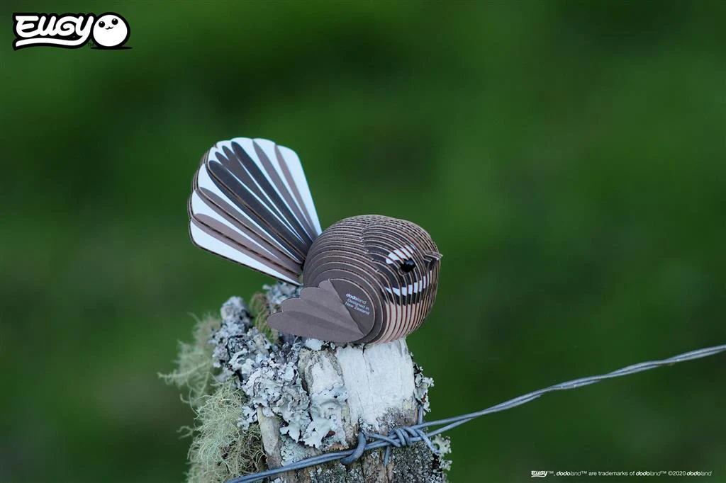 EUGY 3D - Rhipidure à collier – Image 6