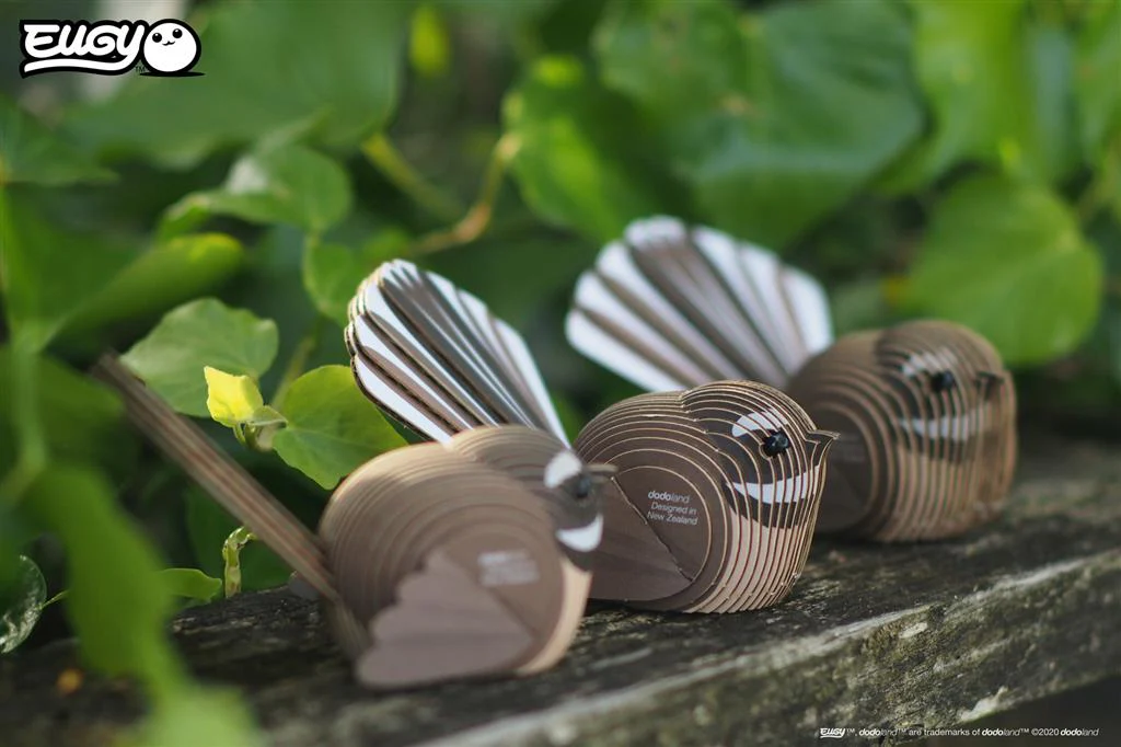 EUGY 3D - Rhipidure à collier – Image 9