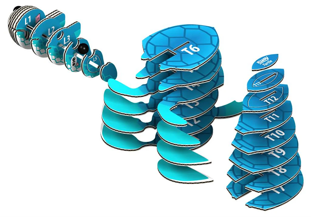 EUGY 3D - Tortue de mer – Image 5