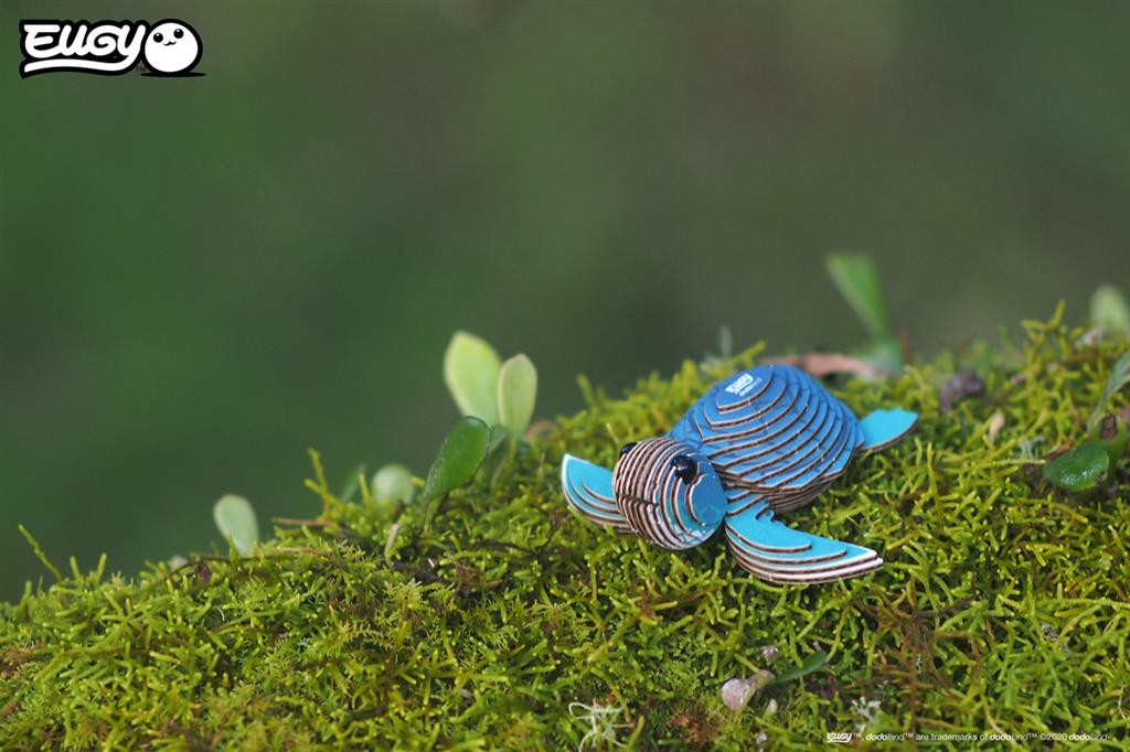 EUGY 3D - Tortue de mer – Image 8
