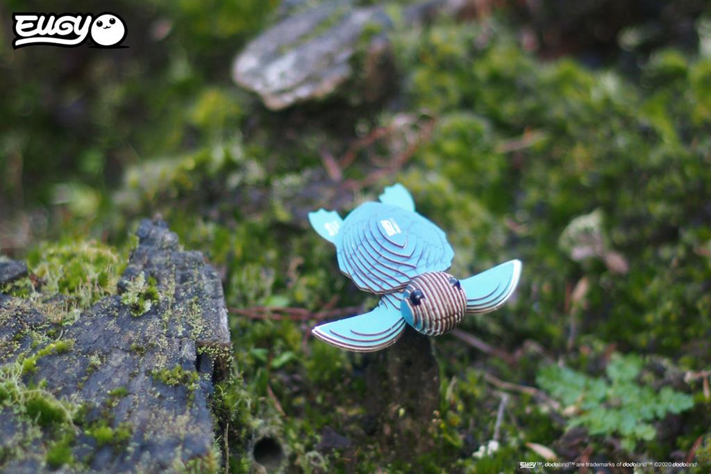 EUGY 3D - Tortue de mer – Image 9