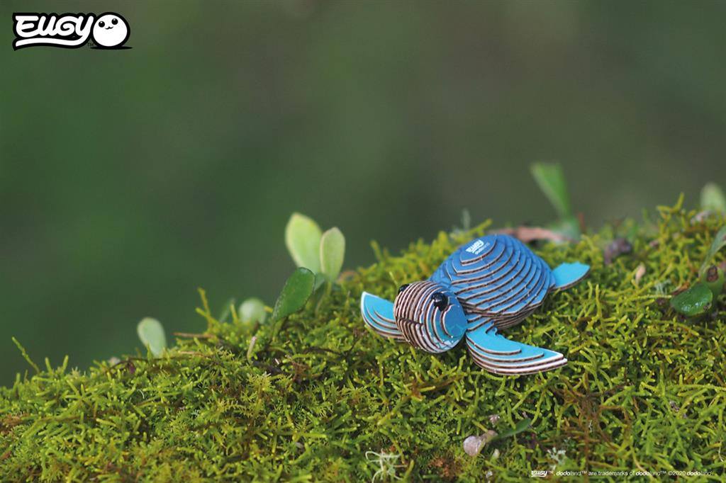 EUGY 3D - Tortue de mer – Image 2