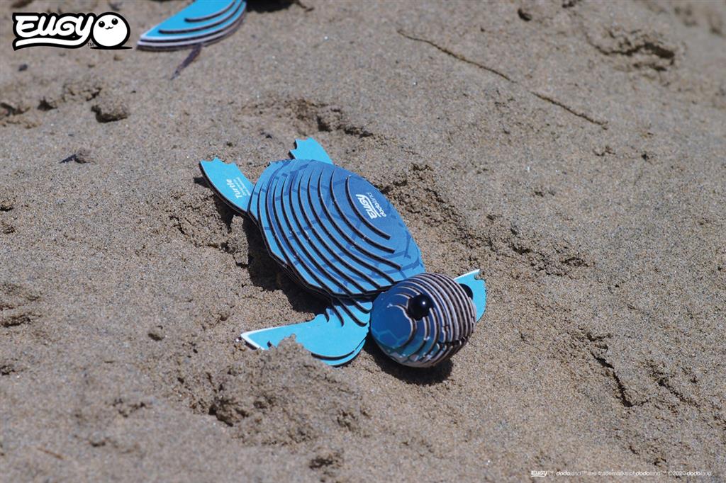 EUGY 3D - Tortue de mer – Image 7
