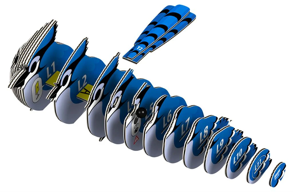 EUGY 3D - Geai Bleu – Image 4