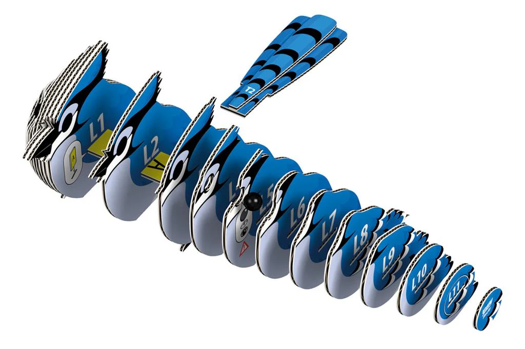 EUGY 3D - Geai Bleu – Image 6