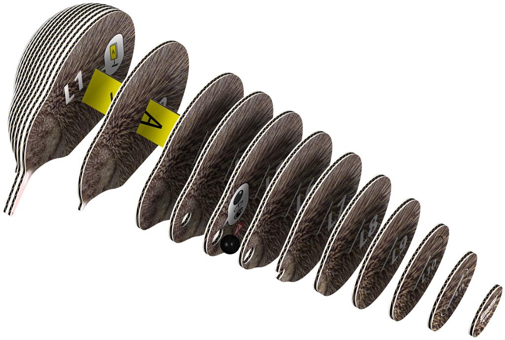 EUGY 3D - Kiwi Brun – Image 6