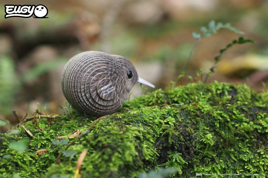 EUGY 3D - Kiwi Brun – Image 5