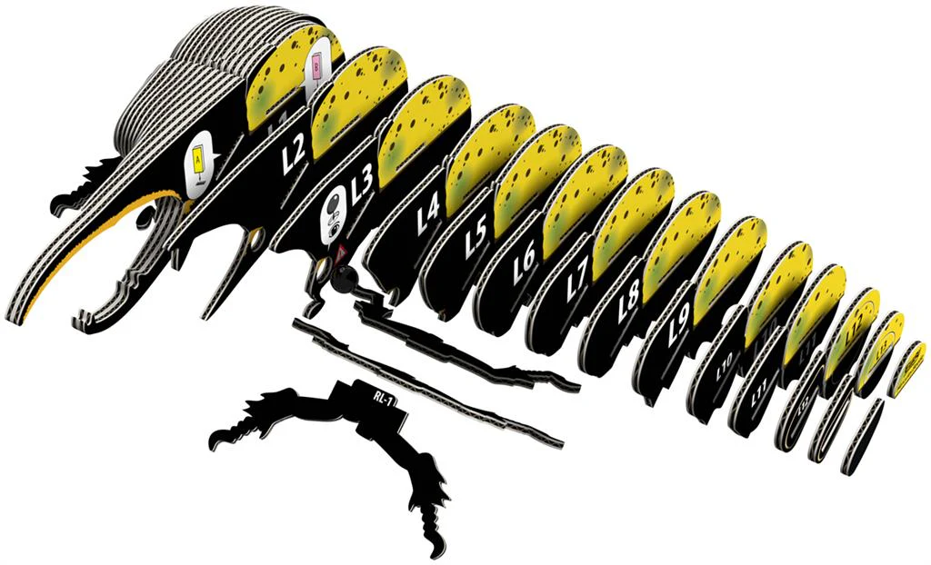 EUGY 3D - Coléoptère Hercule – Image 3