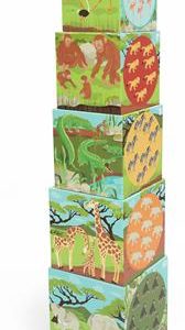 Pyramide - Animaux Du Monde