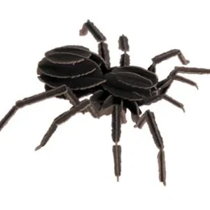 Modèle En Papier 3D - Tarantule