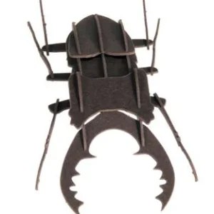 Modèle En Papier 3D - Scarabée