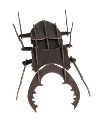 Modèle En Papier 3D - Scarabée