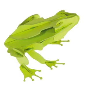 Modèle En Papier 3D - Grenouille