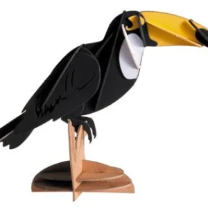 Modèle En Papier 3D - Toucan