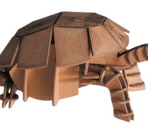 Modèle En Papier 3D - Tortue