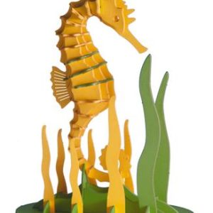 Modèle En Papier 3D - Hippocampe