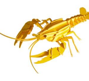 Modèle En Papier 3D - Homard