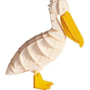 Modèle En Papier 3D - Pélican