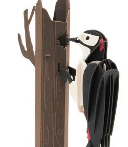 Modèle En Papier 3D - Pivert