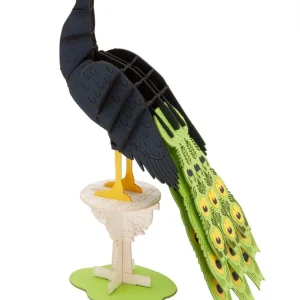 Modèle En Papier 3D - Paon