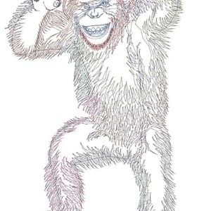 Affiche de Jeu XL - Reliez les points