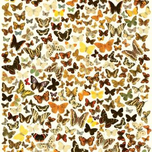 Affiche de Jeu XL - Trouvez les Sosies