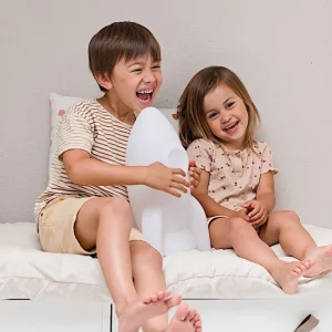 Apollo Medium Rechargeable