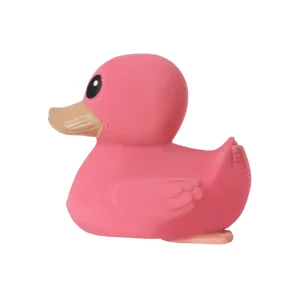 Mini Kawan Canard Rose