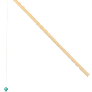 Canne pour Pêche aux Canards