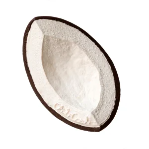 Coco la Noix de Coco