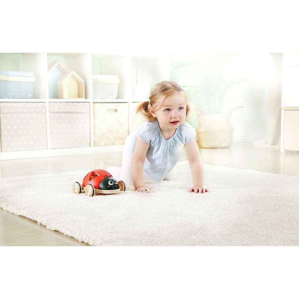 Coccinelle trieuse de forme – Image 5