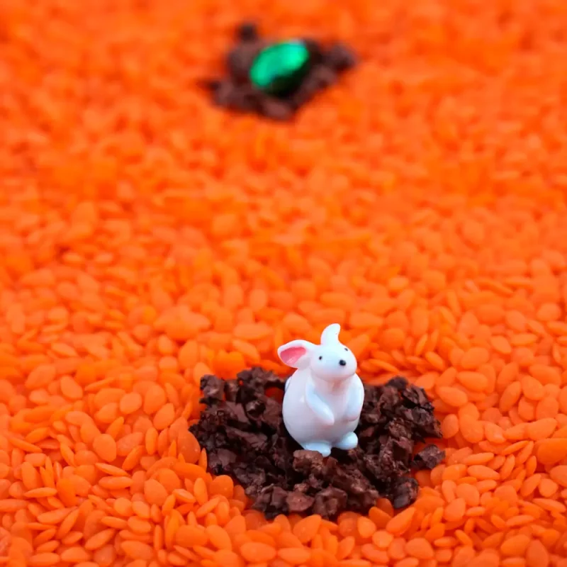 Bouteille sensorielle "Lapin" – Image 4