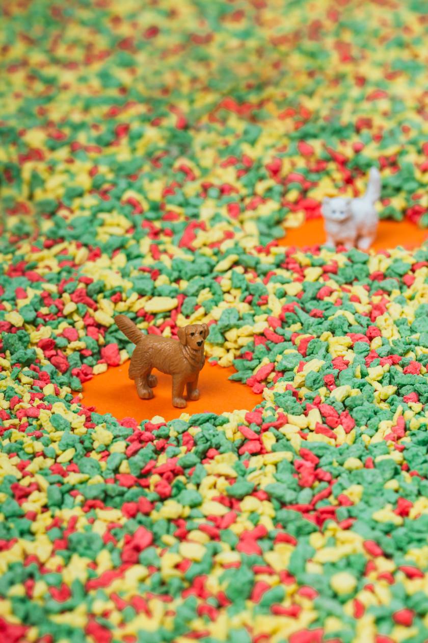 Bouteille sensorielle Animaux de compagnie – Image 3