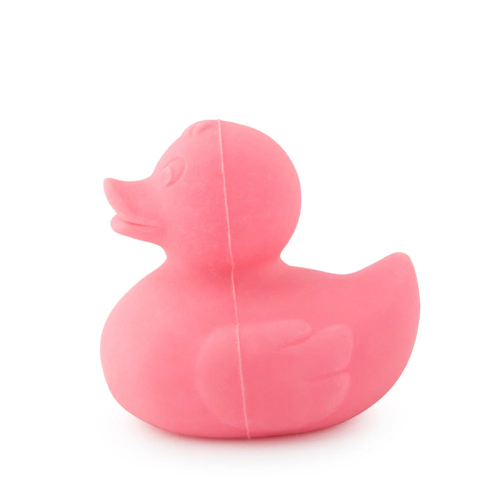 Elvis le Canard Rose – Image 2