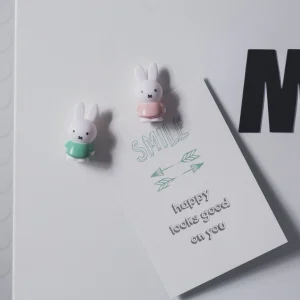 Magnets Miffy