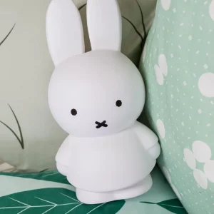 Tirelire Miffy L