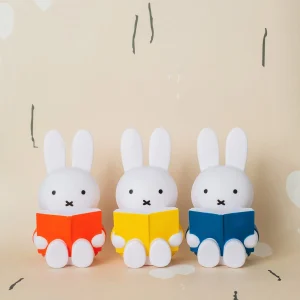 Tirelire Miffy Livre
