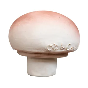 Manolo le Champignon