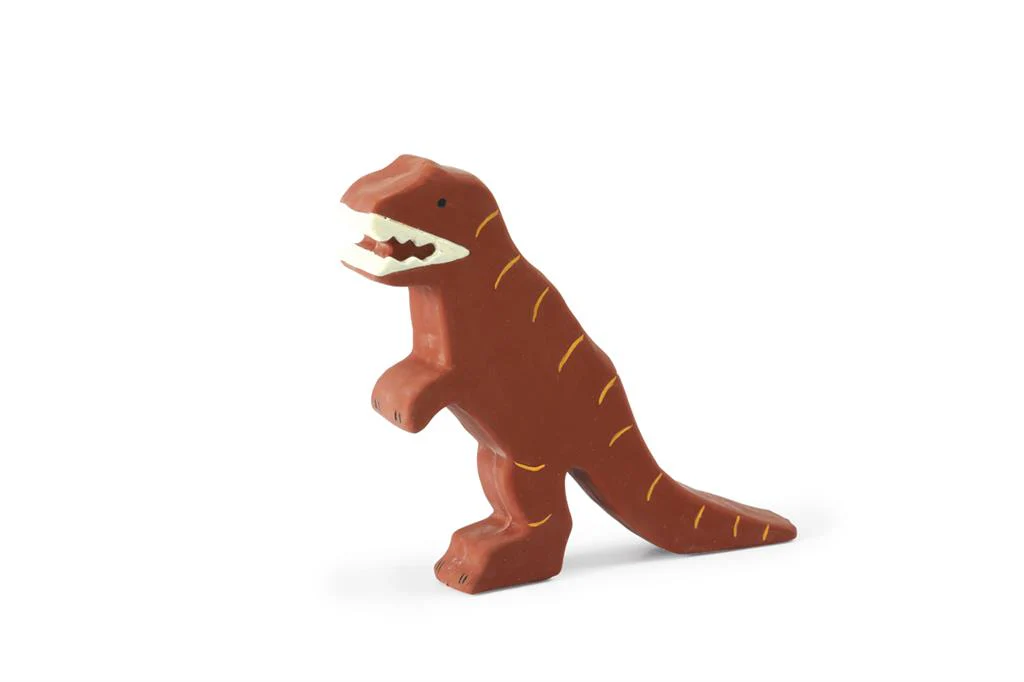 Mes Premiers Dinosaures – Image 5