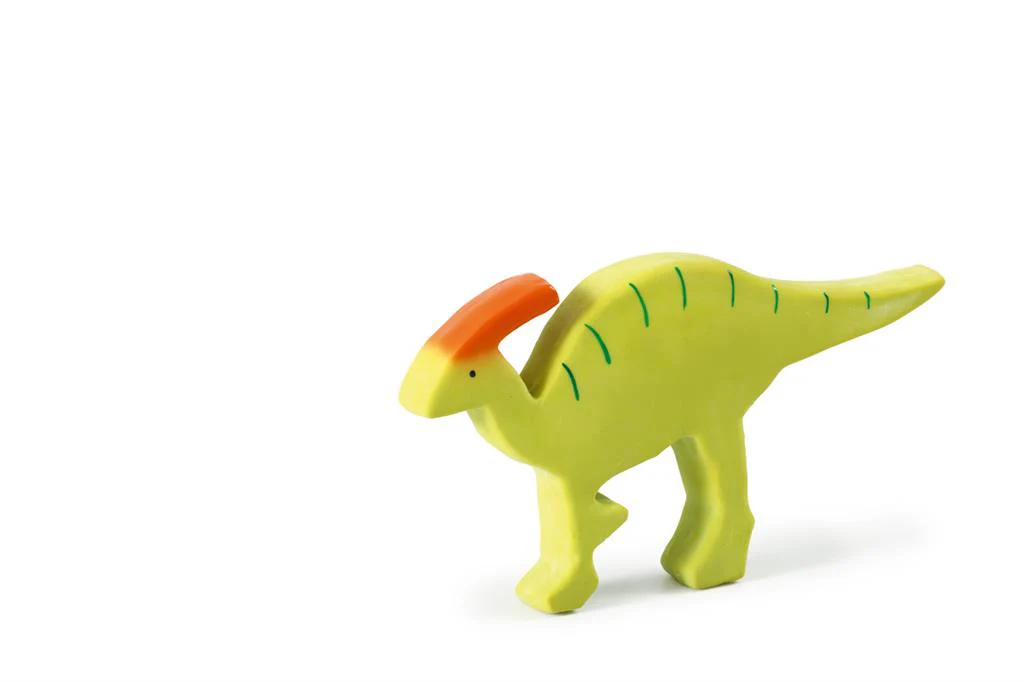 Mes Premiers Dinosaures – Image 2