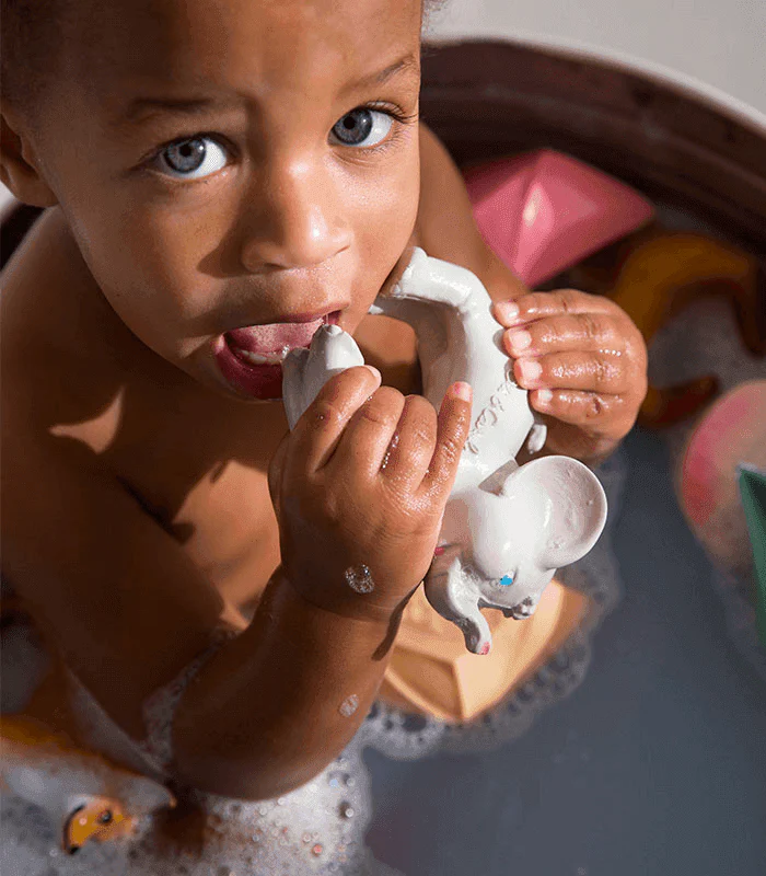 Nelly l’Eléphant – Image 6