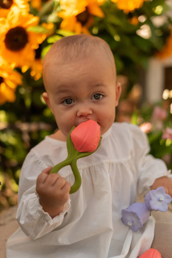 Théo la Tulipe – Image 2