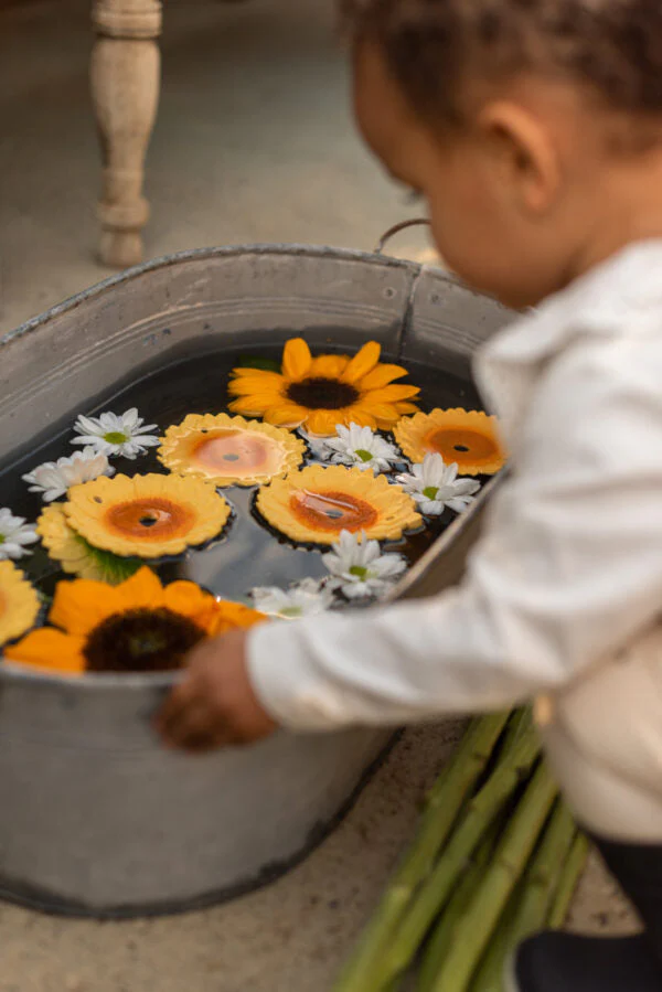 Sun le Tournesol – Image 8