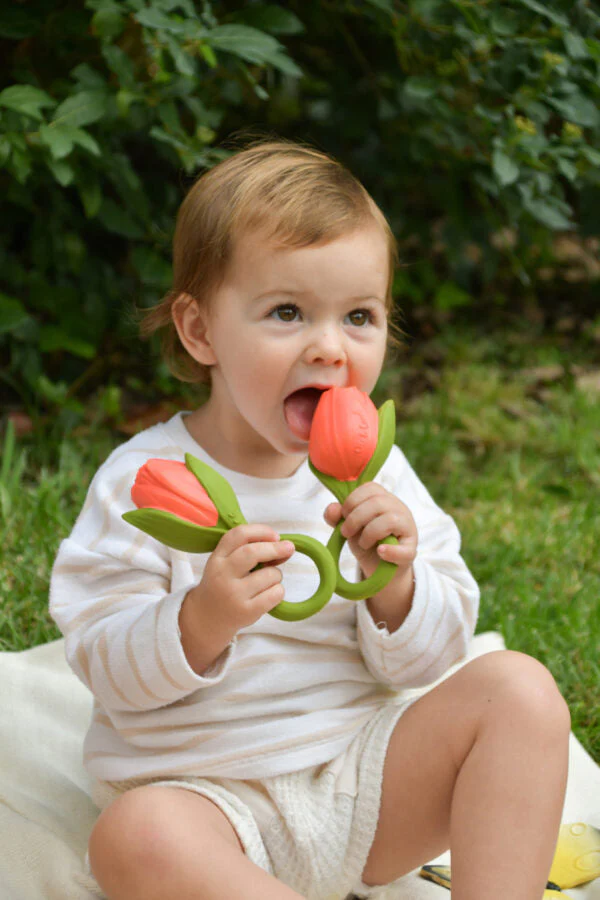 Théo la Tulipe – Image 4